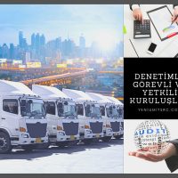 Denetimle Yetkili Kuruluşlar